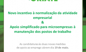 Incentivo à normalização da atividade empresarial e apoio simplificado para microempresas