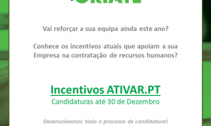 Ativar.pt incentivos