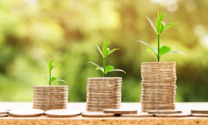 Salário mínimo sobe para 705 euros mensais
